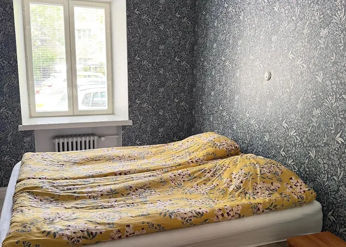 Hhh Beauty In Great Calm Location In The Center Of Apartment